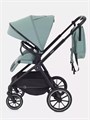 Коляска 2 в 1 Rant Moss Sage green 4670078642509