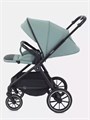 Коляска 2 в 1 Rant Moss Sage green 4670078642509