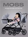 Коляска 2 в 1 Rant Moss Classic grey 4670078642547