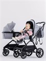 Коляска 2 в 1 Rant Moss Classic grey 4670078642547