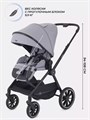 Коляска 2 в 1 Rant Moss Classic grey 4670078642547