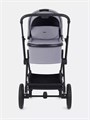 Коляска 2 в 1 Rant Moss Classic grey 4670078642547