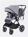 Коляска 2 в 1 Rant Moss Classic grey 4670078642547