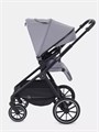 Коляска 2 в 1 Rant Moss Classic grey 4670078642547