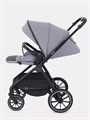 Коляска 2 в 1 Rant Moss Classic grey 4670078642547