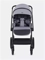 Коляска 2 в 1 Rant Moss Classic grey 4670078642547