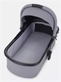 Коляска 2 в 1 Rant Moss Classic grey 4670078642547