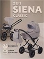 Коляска 2 в 1 Rant Siena Classic 2024 06 бежевый 5903990641800