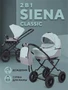 Коляска 2 в 1 Rant Siena Classic 2024 10 серый-ментоловый 5903990641848