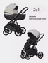 Коляска 2 в 1 Riko Basic Montana Ecco 31 Light Silver-Black 5907729454532