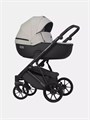 Коляска 2 в 1 Riko Basic Montana Ecco 31 Light Silver-Black 5907729454532