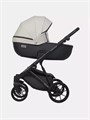 Коляска 2 в 1 Riko Basic Montana Ecco 31 Light Silver-Black 5907729454532