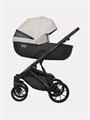 Коляска 2 в 1 Riko Basic Montana Ecco 31 Light Silver-Black 5907729454532
