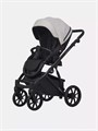Коляска 2 в 1 Riko Basic Montana Ecco 31 Light Silver-Black 5907729454532