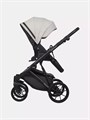 Коляска 2 в 1 Riko Basic Montana Ecco 31 Light Silver-Black 5907729454532