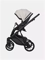 Коляска 2 в 1 Riko Basic Montana Ecco 31 Light Silver-Black 5907729454532