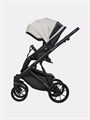 Коляска 2 в 1 Riko Basic Montana Ecco 31 Light Silver-Black 5907729454532