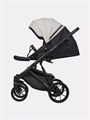 Коляска 2 в 1 Riko Basic Montana Ecco 31 Light Silver-Black 5907729454532