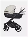 Коляска 2 в 1 Riko Basic Montana Ecco 31 Light Silver-Black 5907729454532