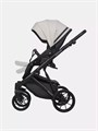 Коляска 2 в 1 Riko Basic Montana Ecco 31 Light Silver-Black 5907729454532