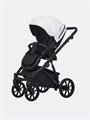 Коляска 2 в 1 Riko Basic Montana Ecco 32 White-Light Silver 5907729454549