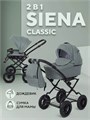Коляска 2 в 1 Rant Siena Classic 2024 05 зеленый 5903990641794