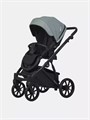 Коляска 2 в 1 Riko Basic Montana Ecco 30 Green-Grey 5907729454525