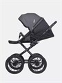 Коляска 2 в 1 Riko Basic Montana Ecco Prestige 24 Graphite 5907729454693
