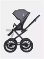 Коляска 2 в 1 Riko Basic Montana Ecco Prestige 24 Graphite 5907729454693