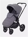 Коляска 2 в 1 Rant Flex 2025 RA076 Graphite 4670078652911