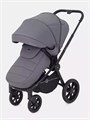 Коляска 2 в 1 Rant Flex 2025 RA076 Graphite 4670078652911