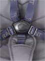 Коляска 2 в 1 Rant Flex 2025 RA076 Graphite 4670078652911