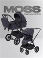 Коляска 2 в 1 Rant Moss 2025 Graphite 4670078653529