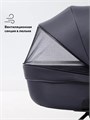 Коляска 2 в 1 Rant Teo Black Chrome Graphite 25999