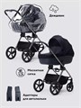 Коляска 2 в 1 Rant Teo Black Chrome Graphite 25999
