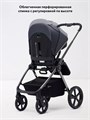 Коляска 2 в 1 Rant Teo Black Chrome Graphite 25999