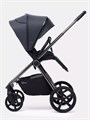 Коляска 2 в 1 Rant Teo Black Chrome Graphite 25999