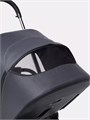 Коляска 2 в 1 Rant Teo Black Chrome Graphite 25999