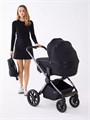 Коляска 2 в 1 Rant Falcon Therm Black 4670078655950