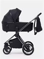 Коляска 2 в 1 Rant Falcon Therm Black 4670078655950