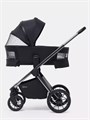 Коляска 2 в 1 Rant Falcon Therm Black 4670078655950