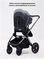 Коляска 2 в 1 Rant Falcon Therm Graphite 4670078655974