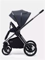 Коляска 2 в 1 Rant Falcon Therm Graphite 4670078655974