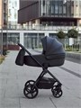 Коляска 2 в 1 Rant Teo Black 4670078655981