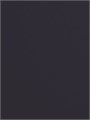 Коляска 2 в 1 Rant Teo Black 4670078655981
