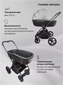 Коляска 2 в 1 Rant Teo Black 4670078655981