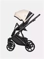 Коляска 2 в 1 Riko Basic Montana Plus 43 Mocca 5907729454846