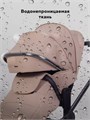 Коляска 2 в 1 Rant Falcon Soft Therm Beige 4670078668530