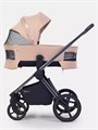 Коляска 2 в 1 Rant Falcon Soft Therm Beige 4670078668530