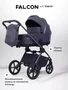 Коляска 2 в 1 Rant Falcon Soft Therm Graphite 4670078668516